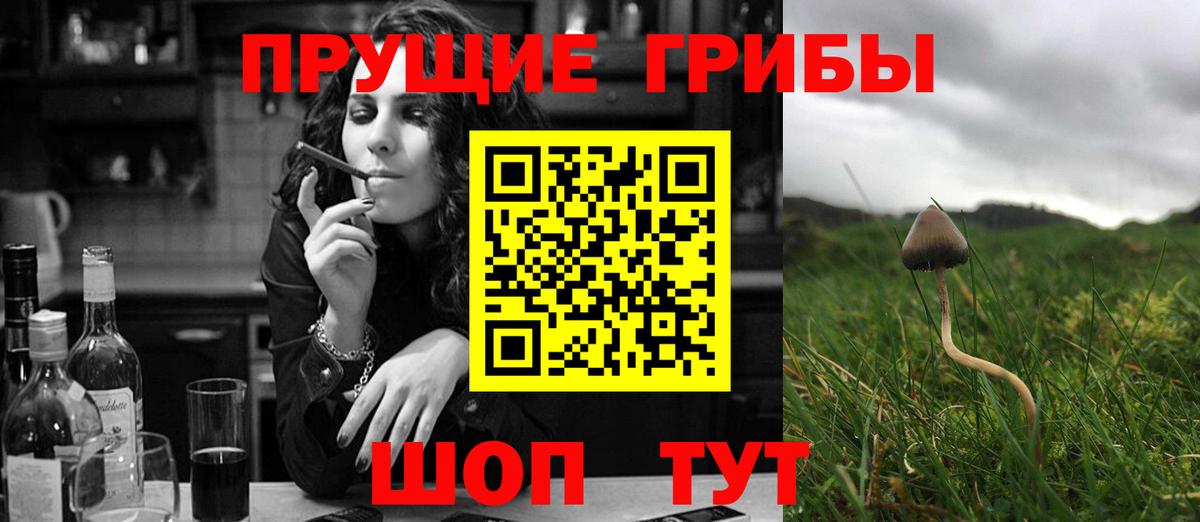 Мурманск  магазин  наркотиков  Вход с VPN  Галлюциногенные грибы MAGIC MUSHROOMS 